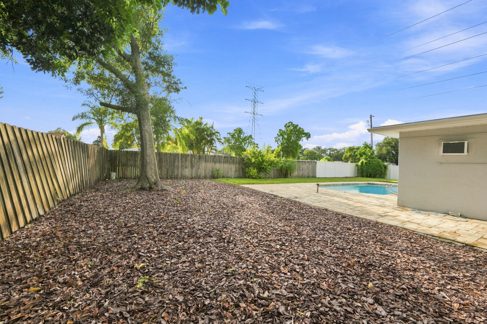 Backyard7