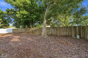 Backyard5