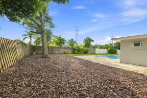Backyard7