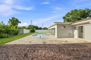 Backyard8