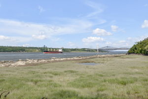  Photo 30