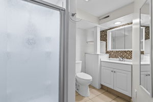 Lower Level - Bathroom