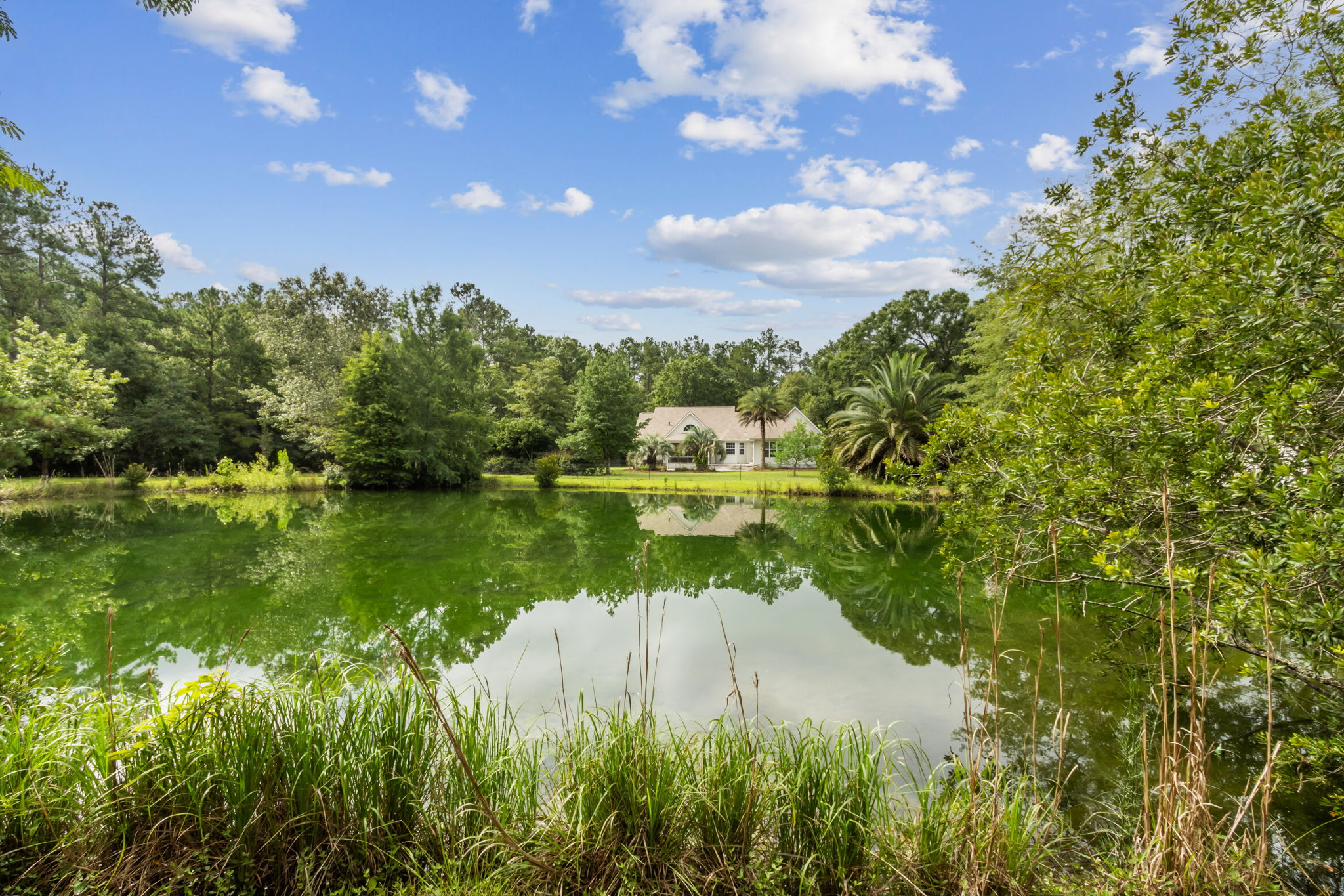 Pond