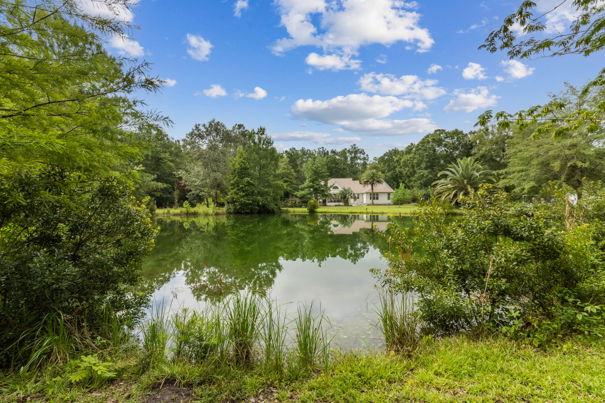 Pond