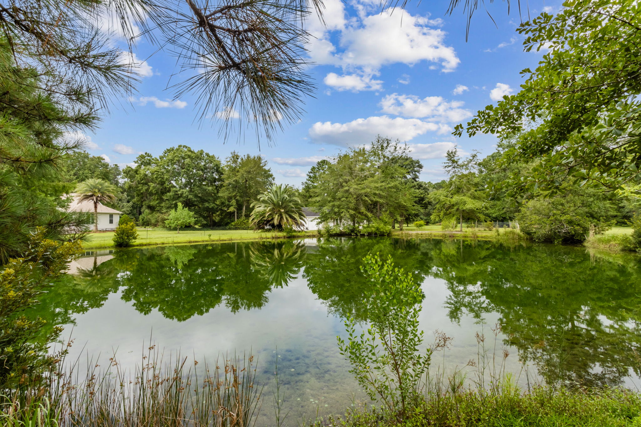 Pond