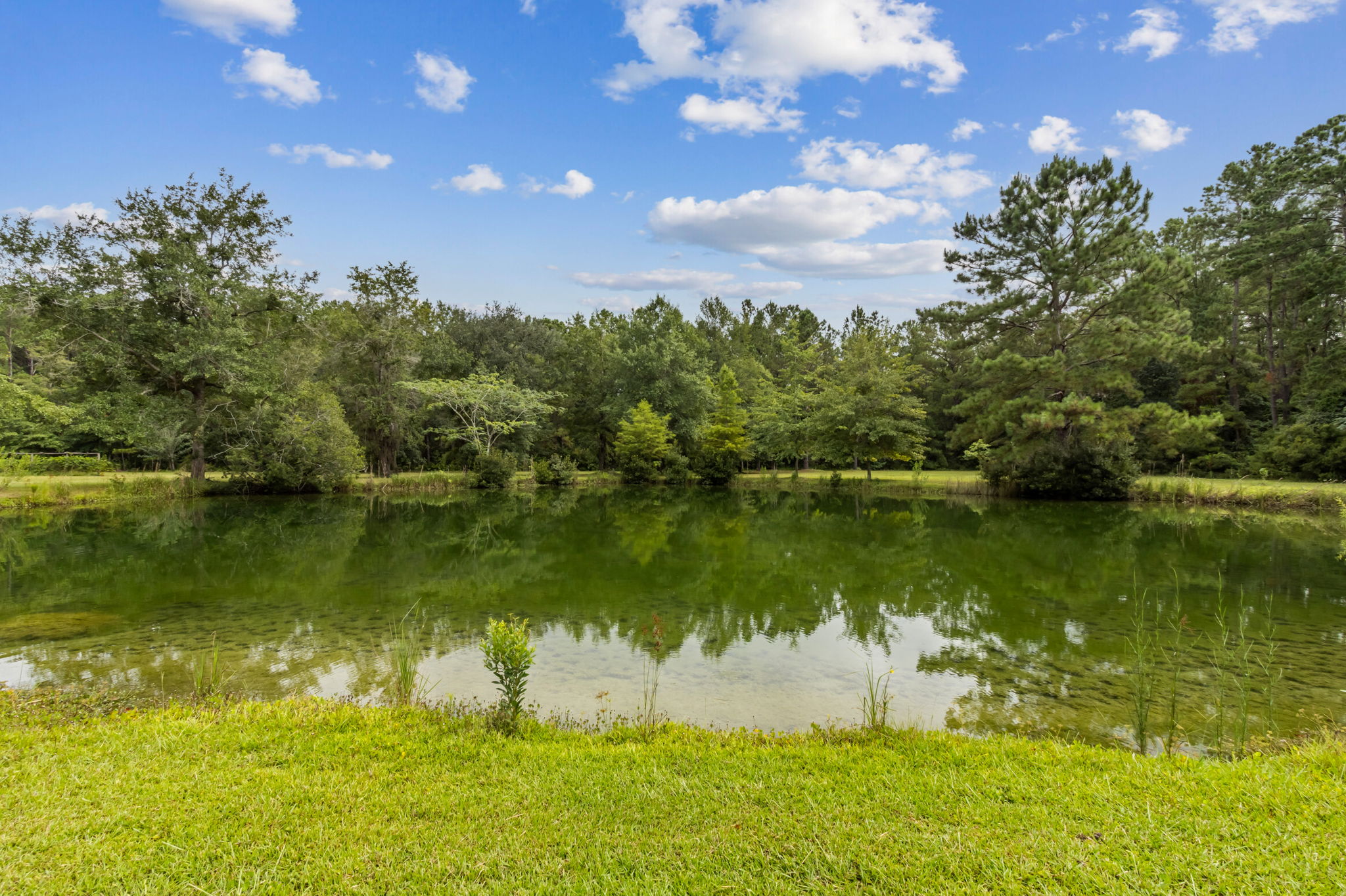 Pond