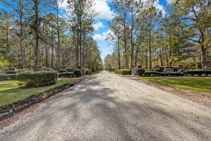 Sheffield Plantation
