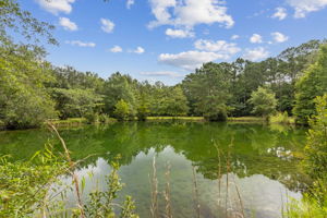 Pond