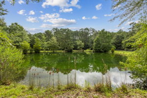 Pond