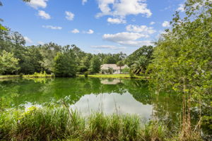 Pond