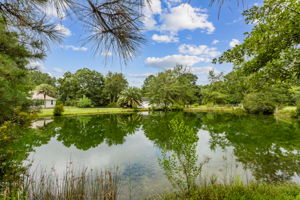 Pond