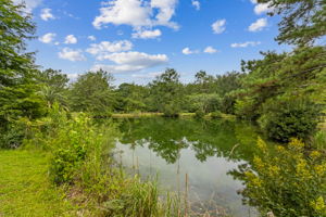 Pond