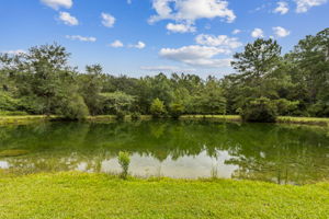 Pond