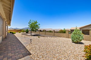 Backyard 1