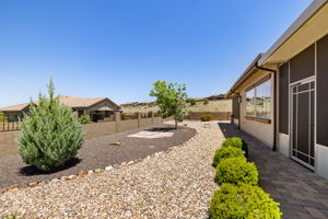 Backyard 4
