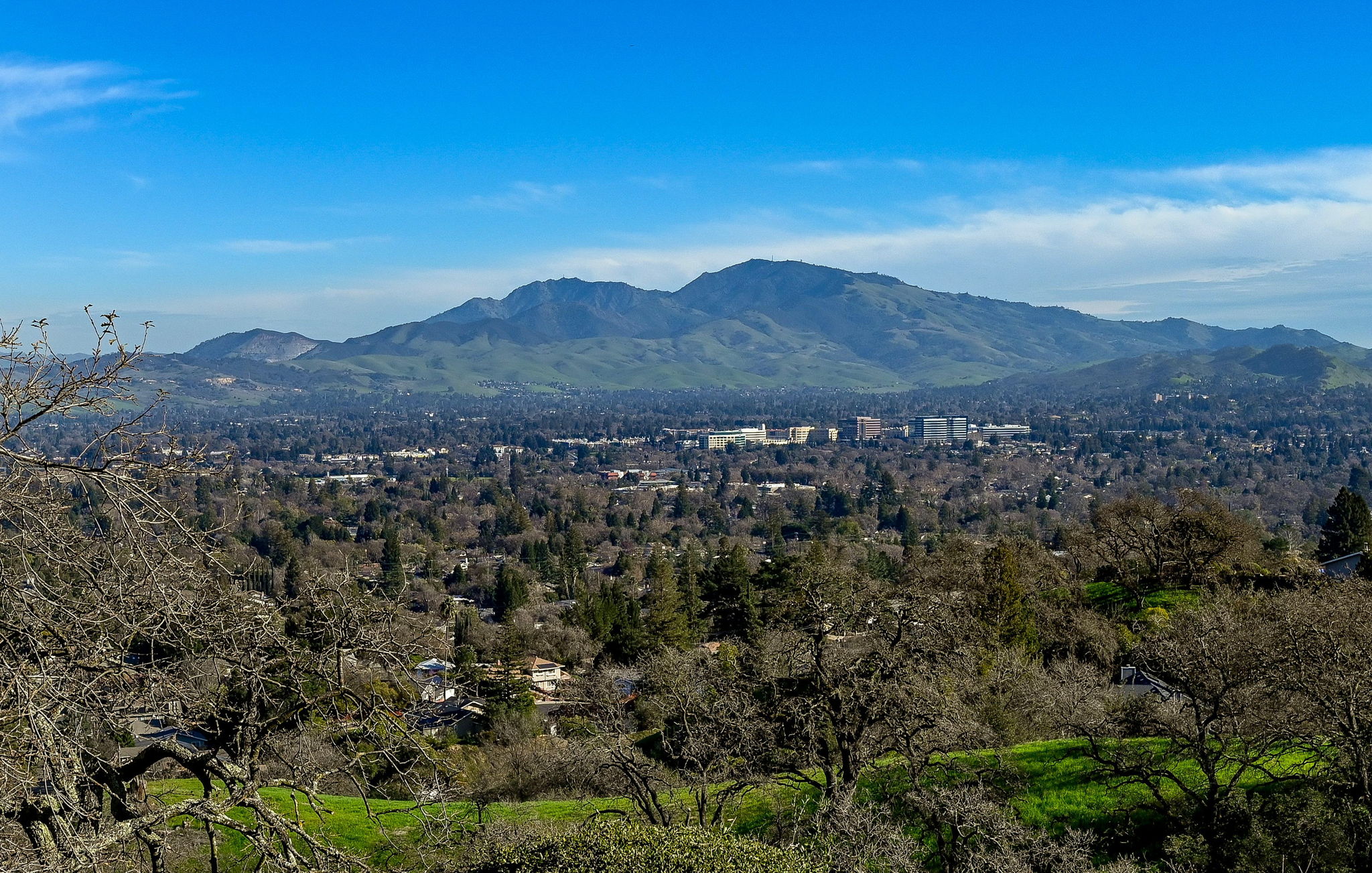 DOWNTOWN WALNUT CREEK