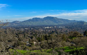 DOWNTOWN WALNUT CREEK