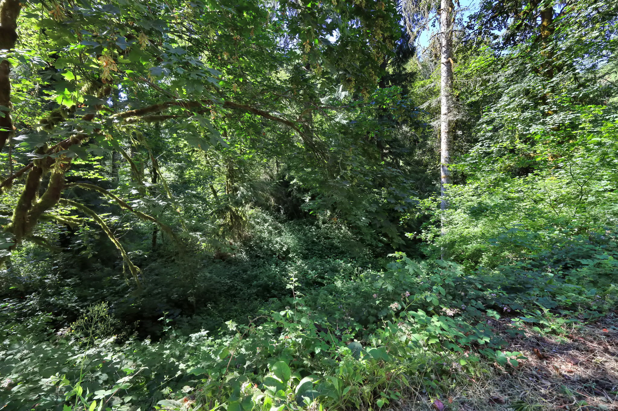  Photo 47