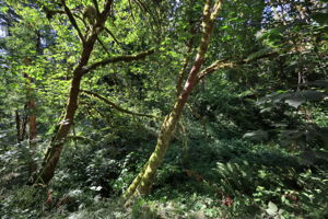  Photo 47