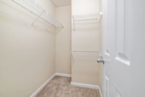 Image-19
