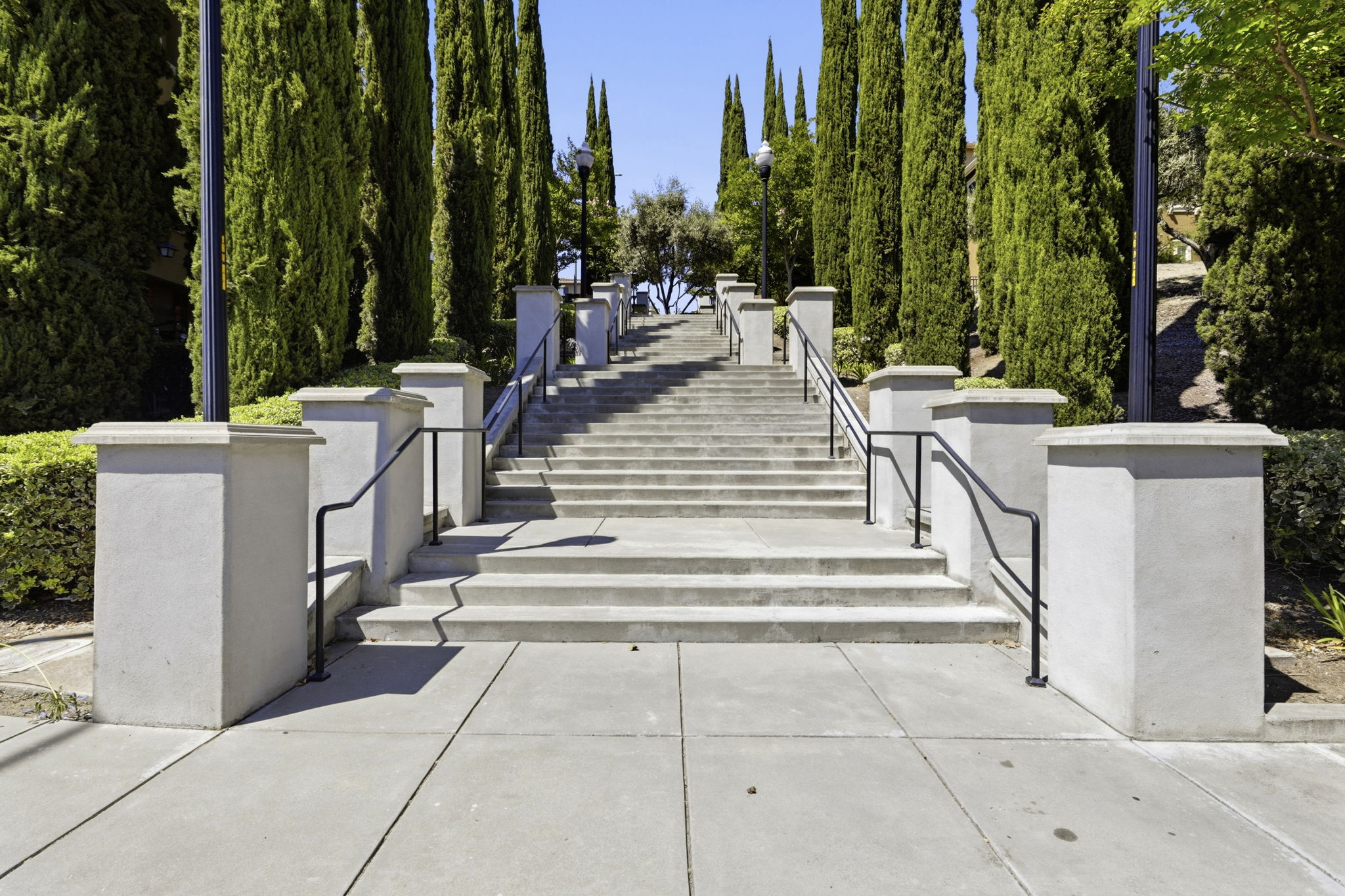  Photo 39