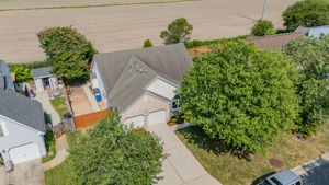  Photo 45