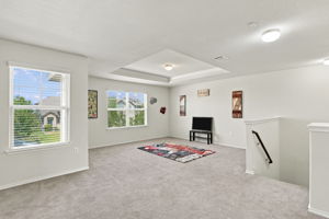 Loft/Bonus Space