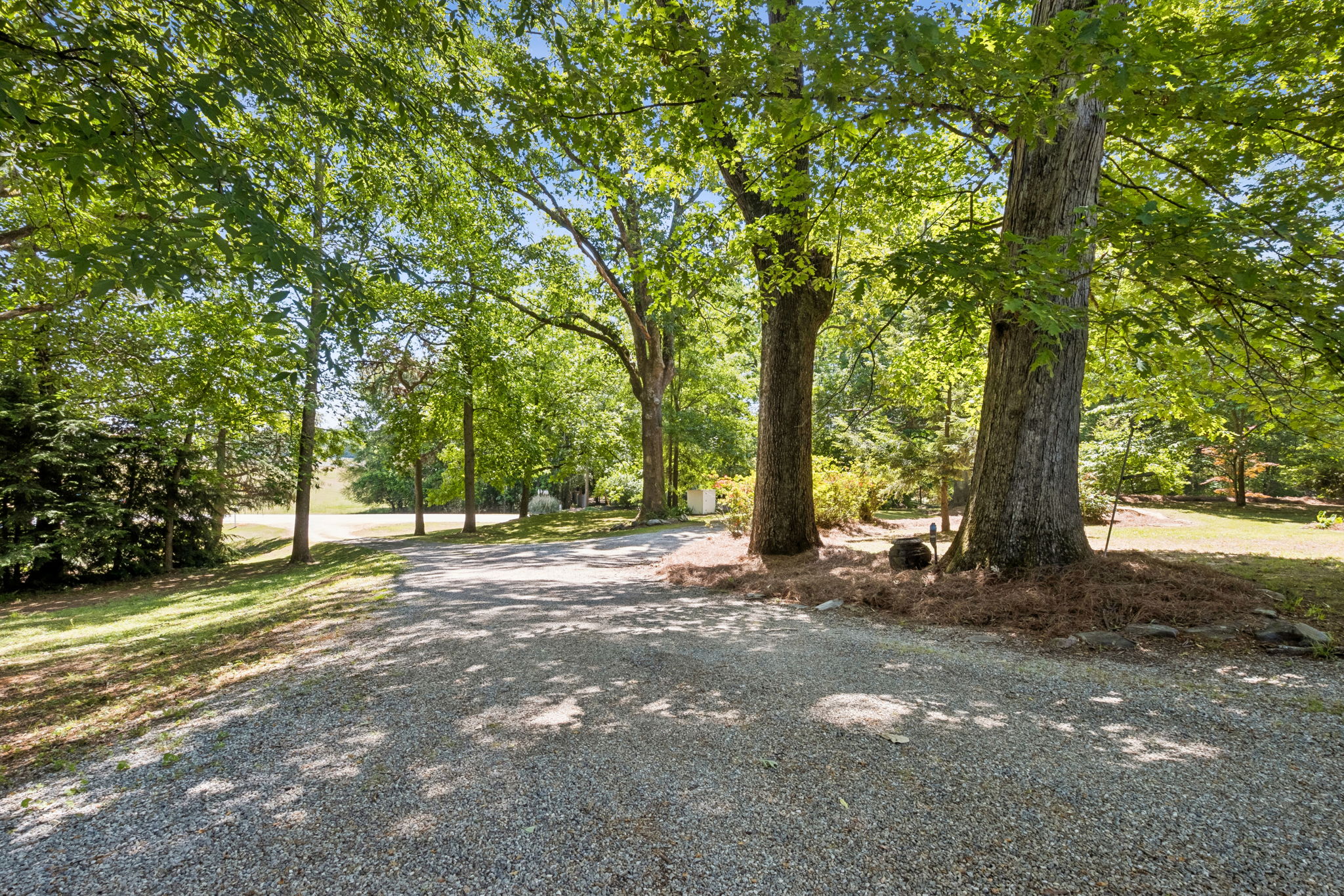 Driveway