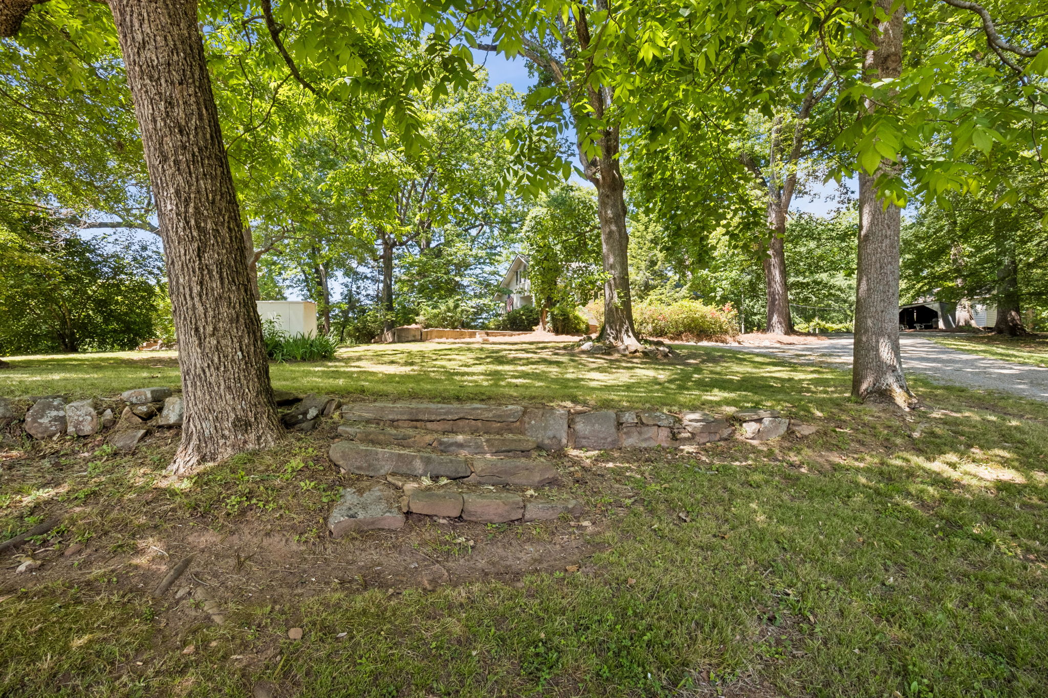 Front Yard