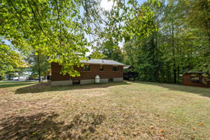  Photo 41