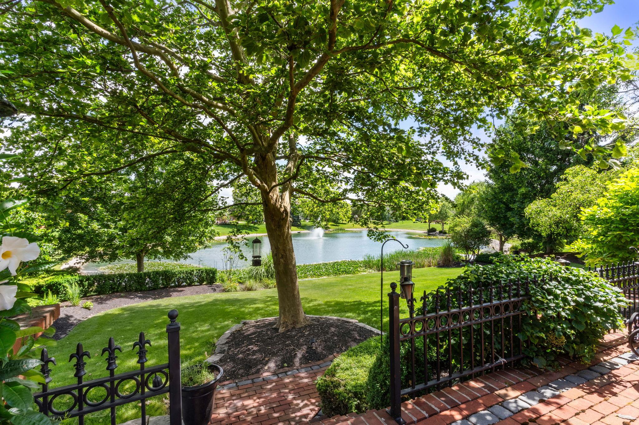 Patio View