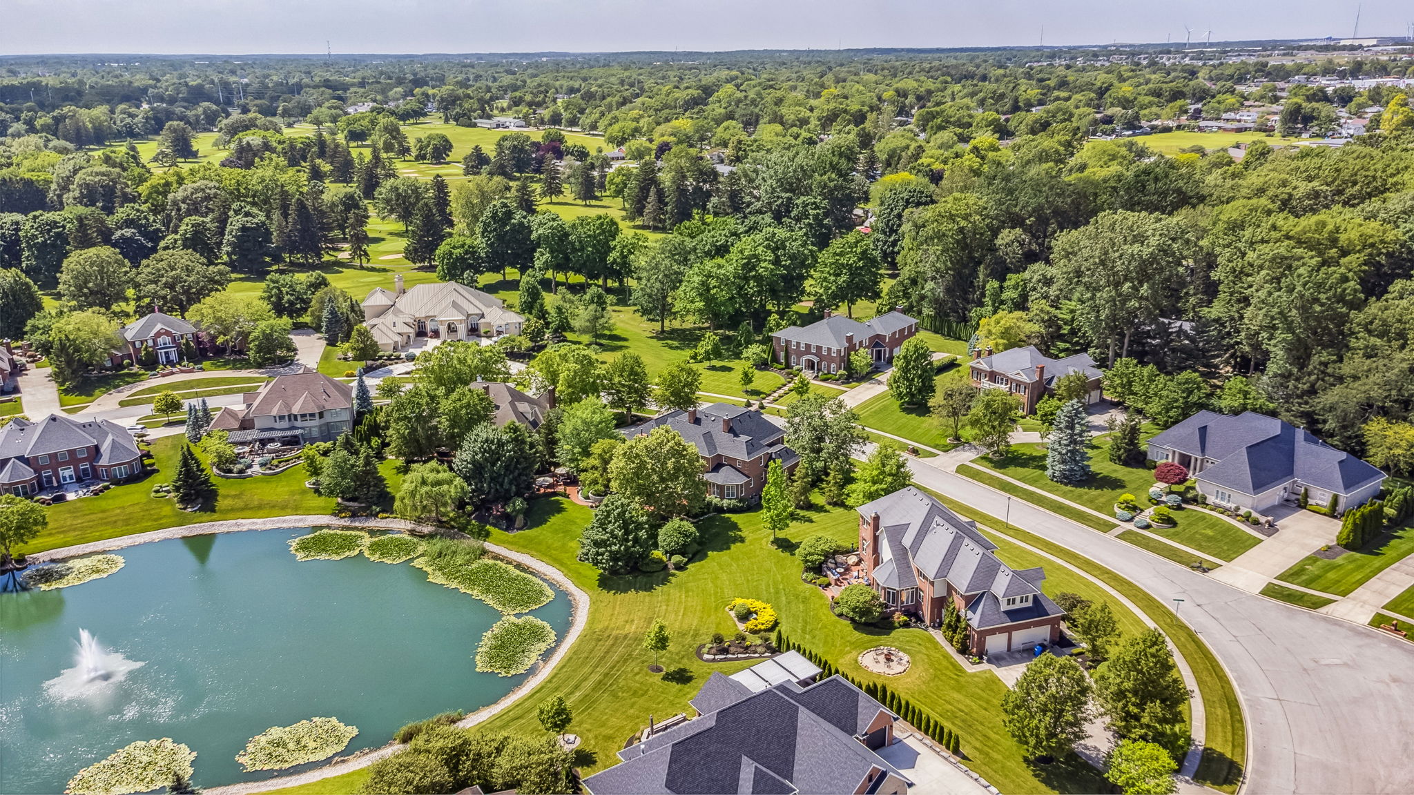 Pond Aerial