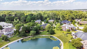 Pond Aerial