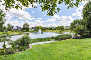 Rear Pond View