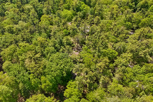 Timberlake Rd-S0506-059.jpg