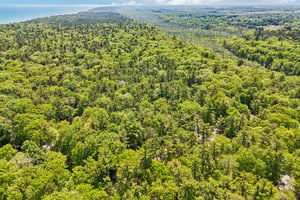 Timberlake Rd-S0506-062.jpg