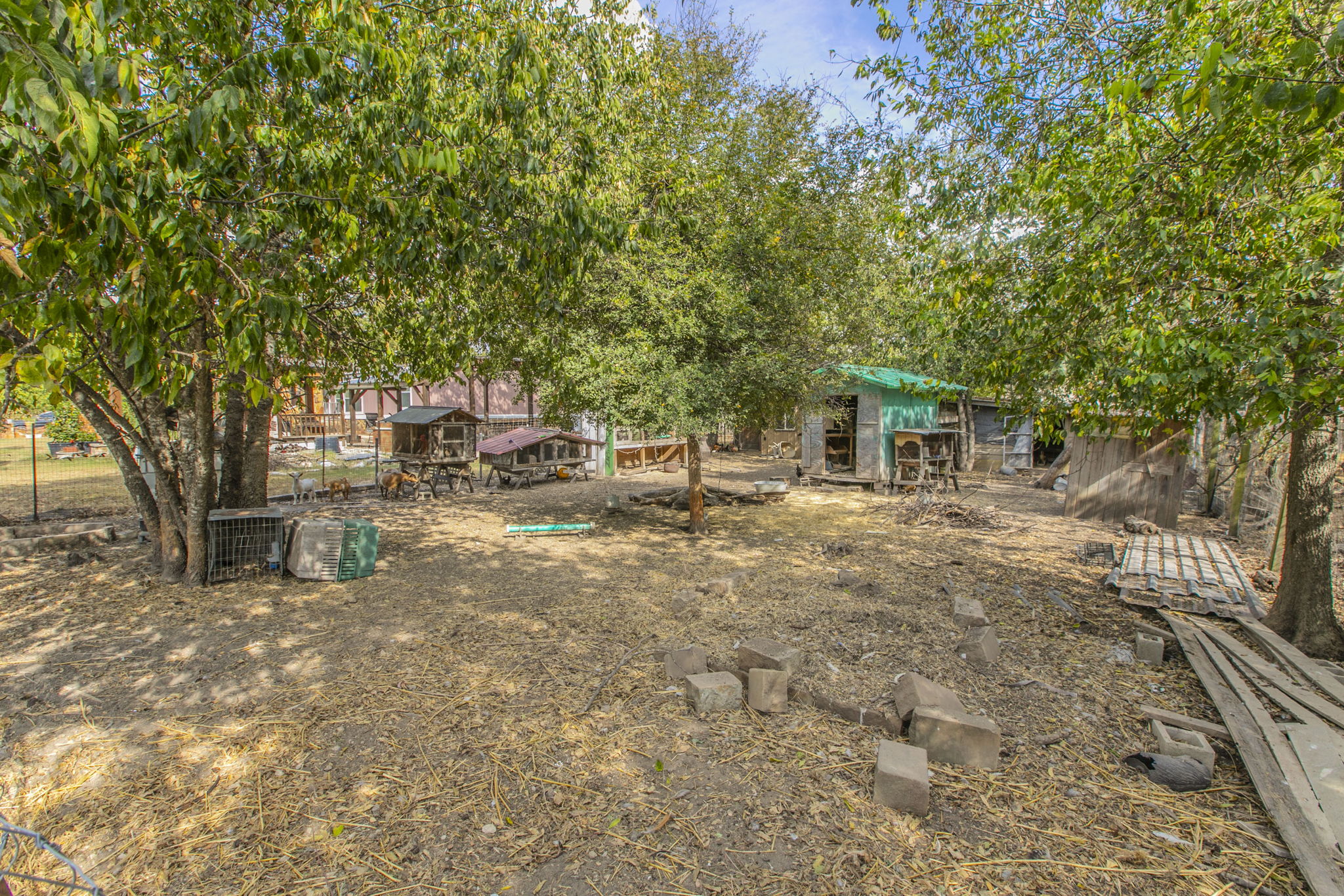  Photo 25