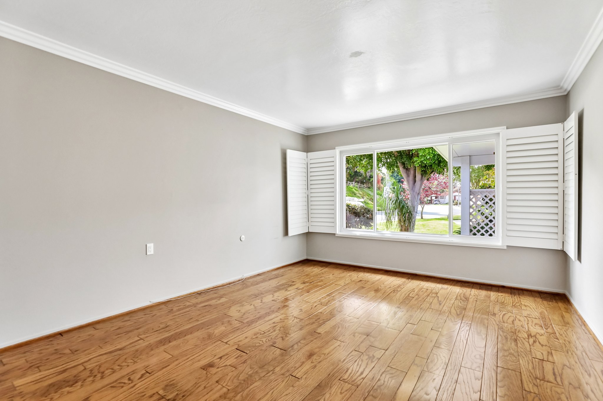 San Amadeo B-S2304-016.jpg