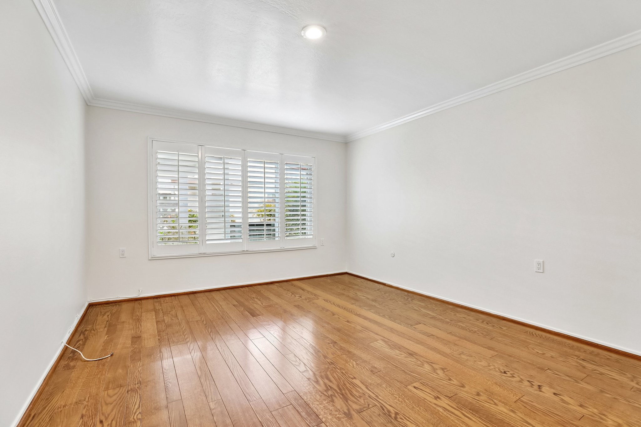 San Amadeo B-S2304-023.jpg