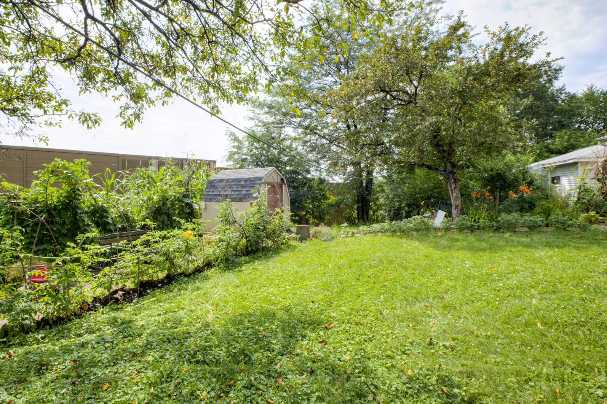 Back Yard