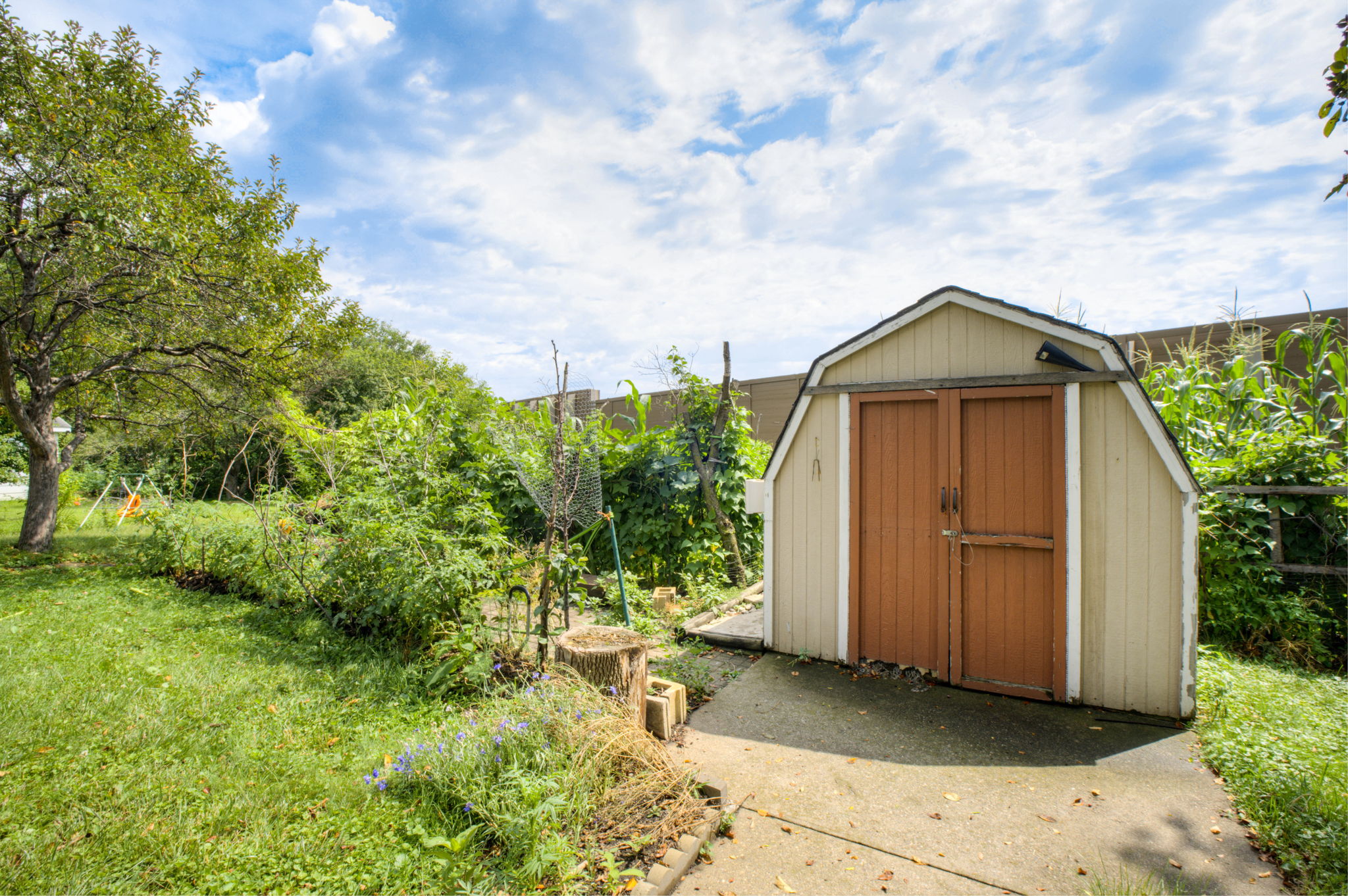 Backyard