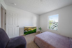  Photo 37