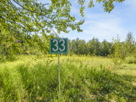  Photo 35