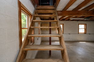  Photo 50