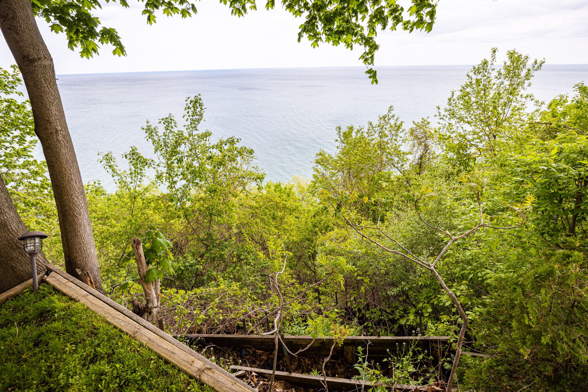 Toronto property showcase — delivered property photograph 66