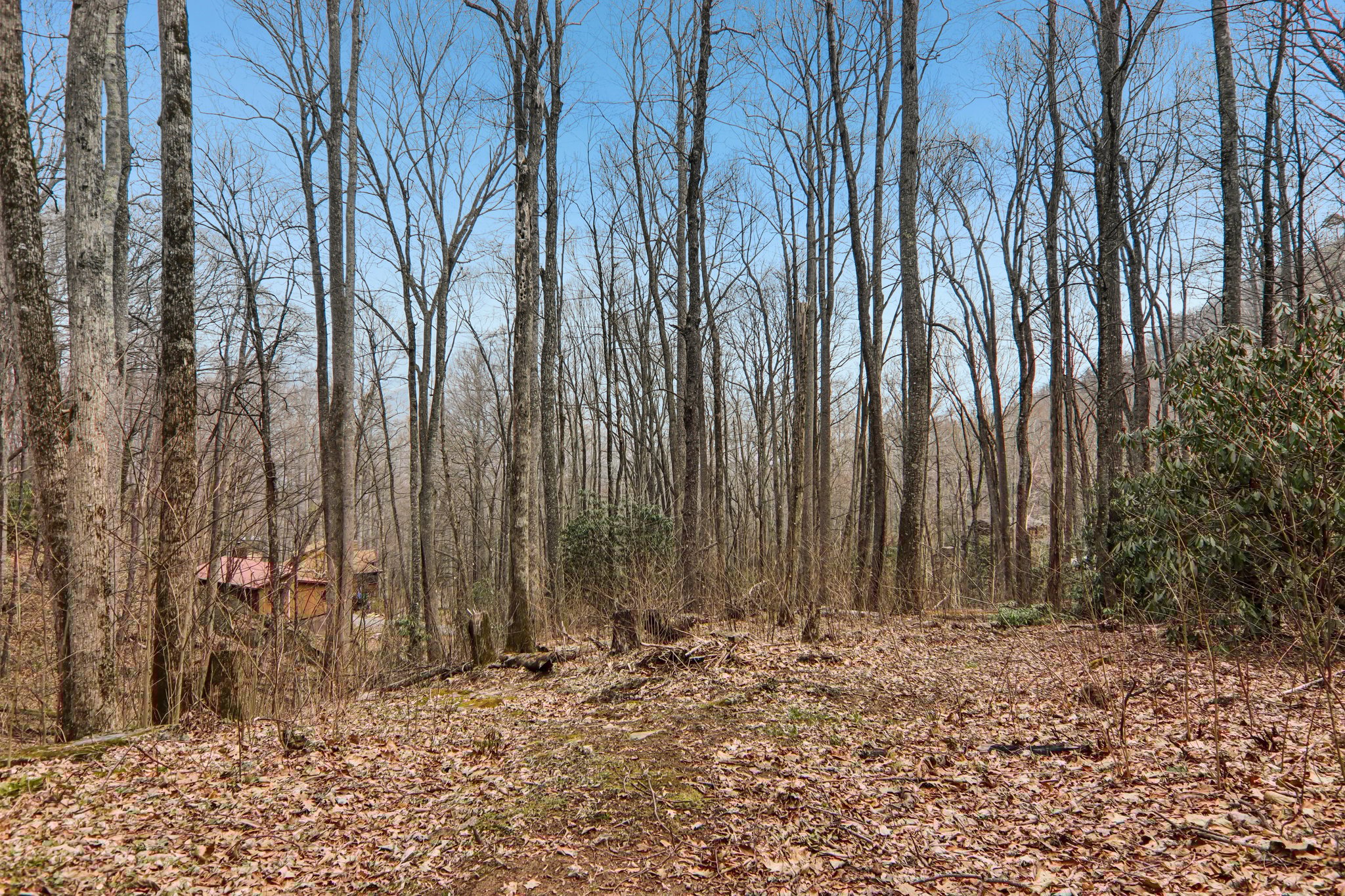 Fernbrook Rd-S2703-006.jpg