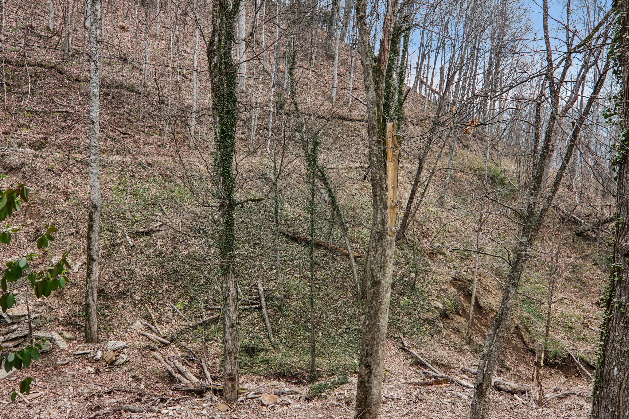 Fernbrook Rd-S2703-038.jpg