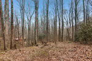 Fernbrook Rd-S2703-006.jpg