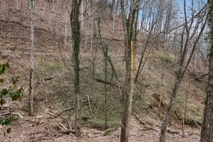 Fernbrook Rd-S2703-038.jpg