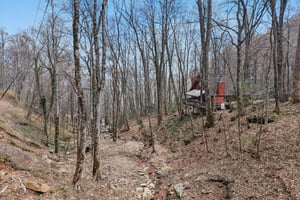 Fernbrook Rd-S2703-053.jpg